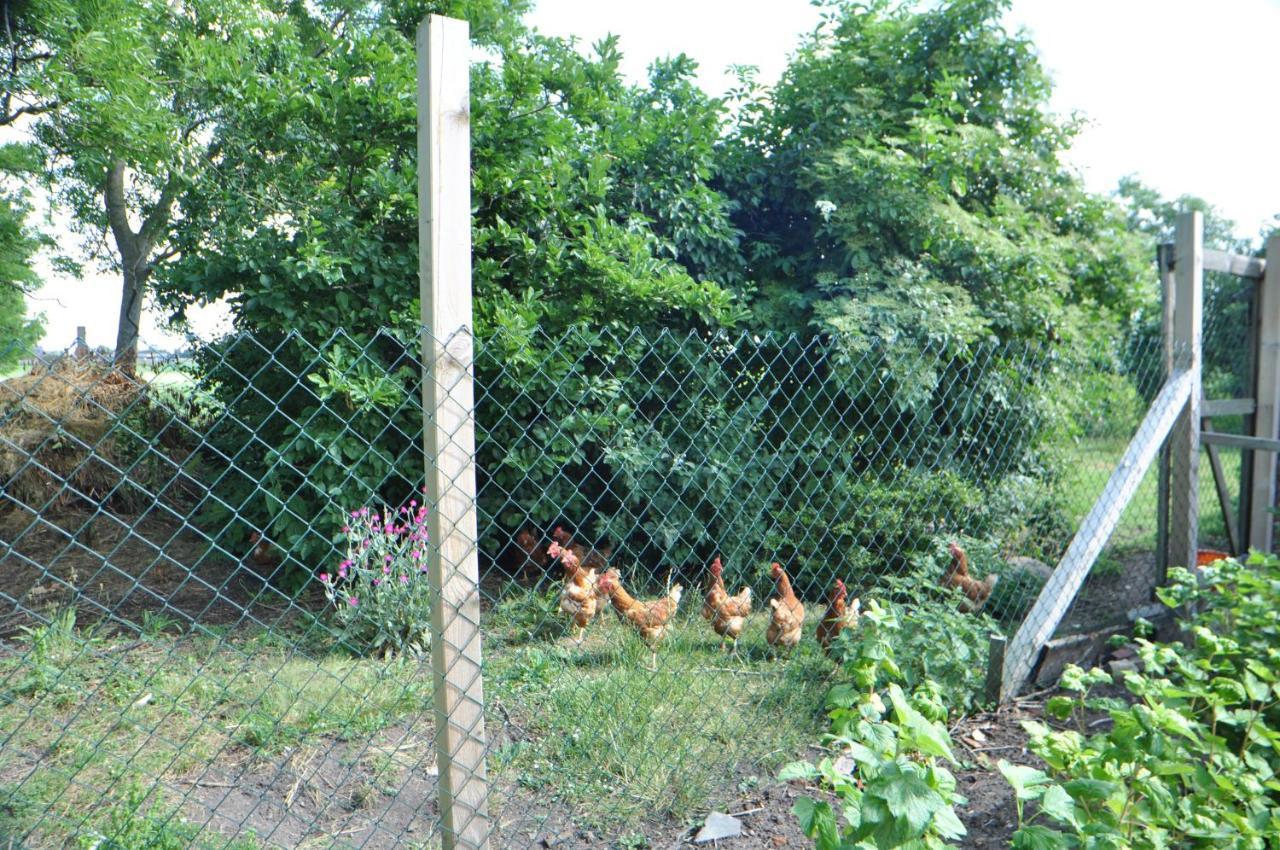 Ferienwohnung Landliebe 65347 Мормерланд Экстерьер фото
